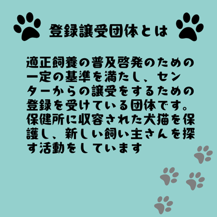画像５