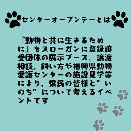 画像４