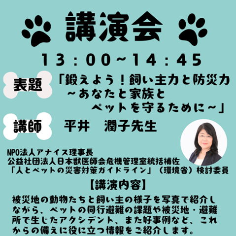 画像２