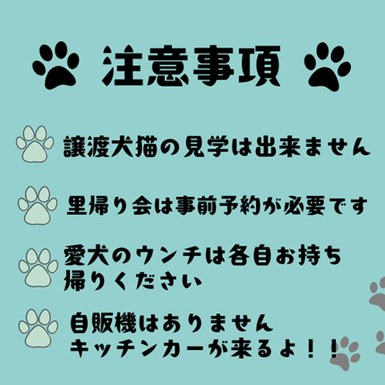 画像６