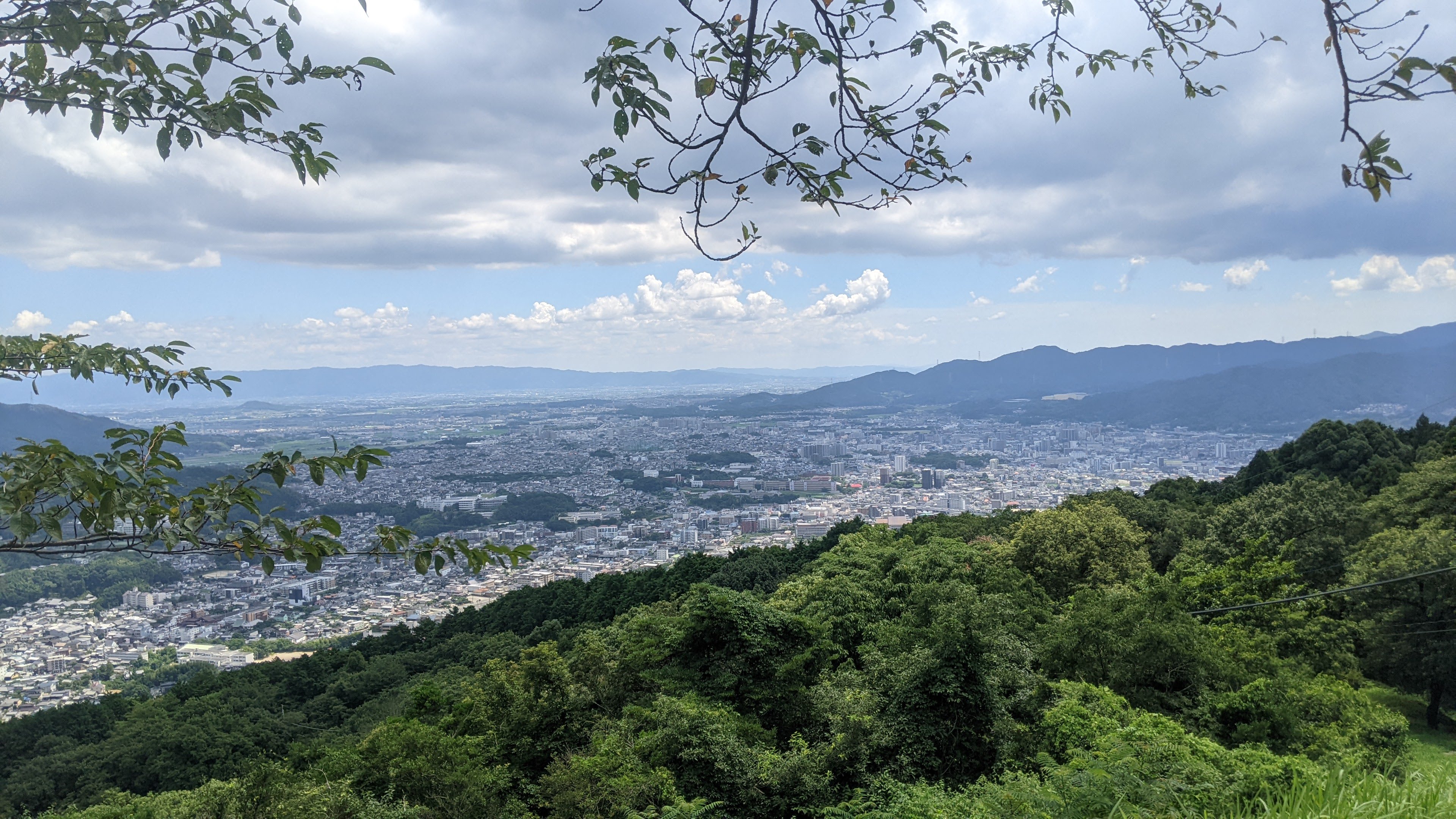 四王寺県民の森でワンヘルス森林浴に参加しています