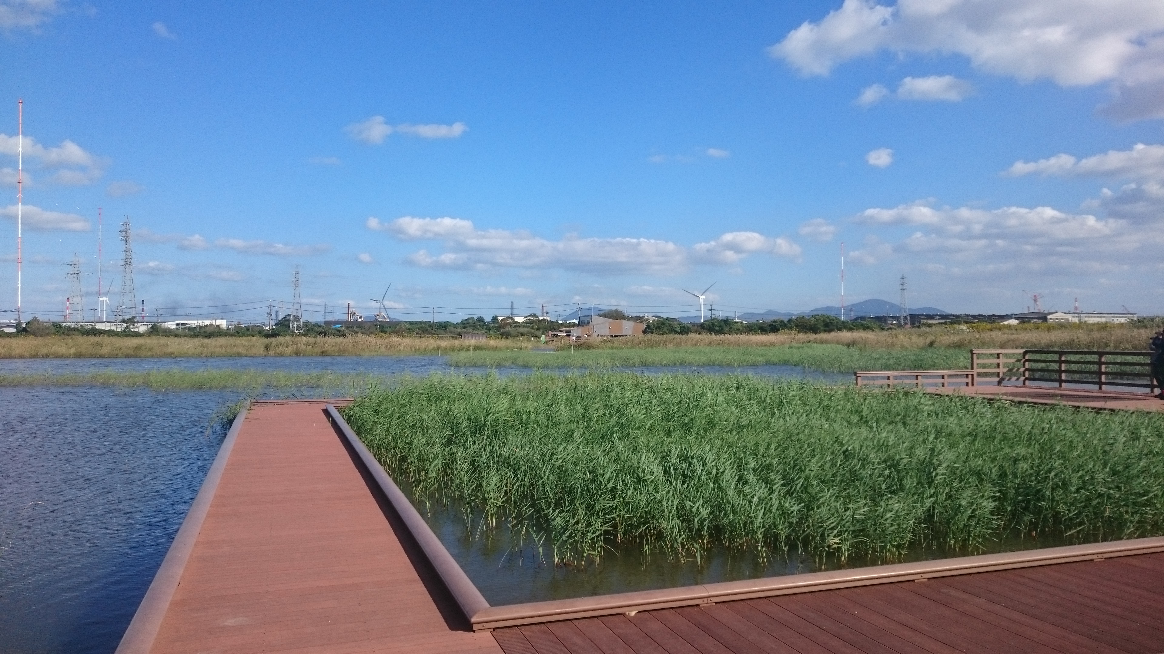 日本最大級の湿地・草地のビオトープ