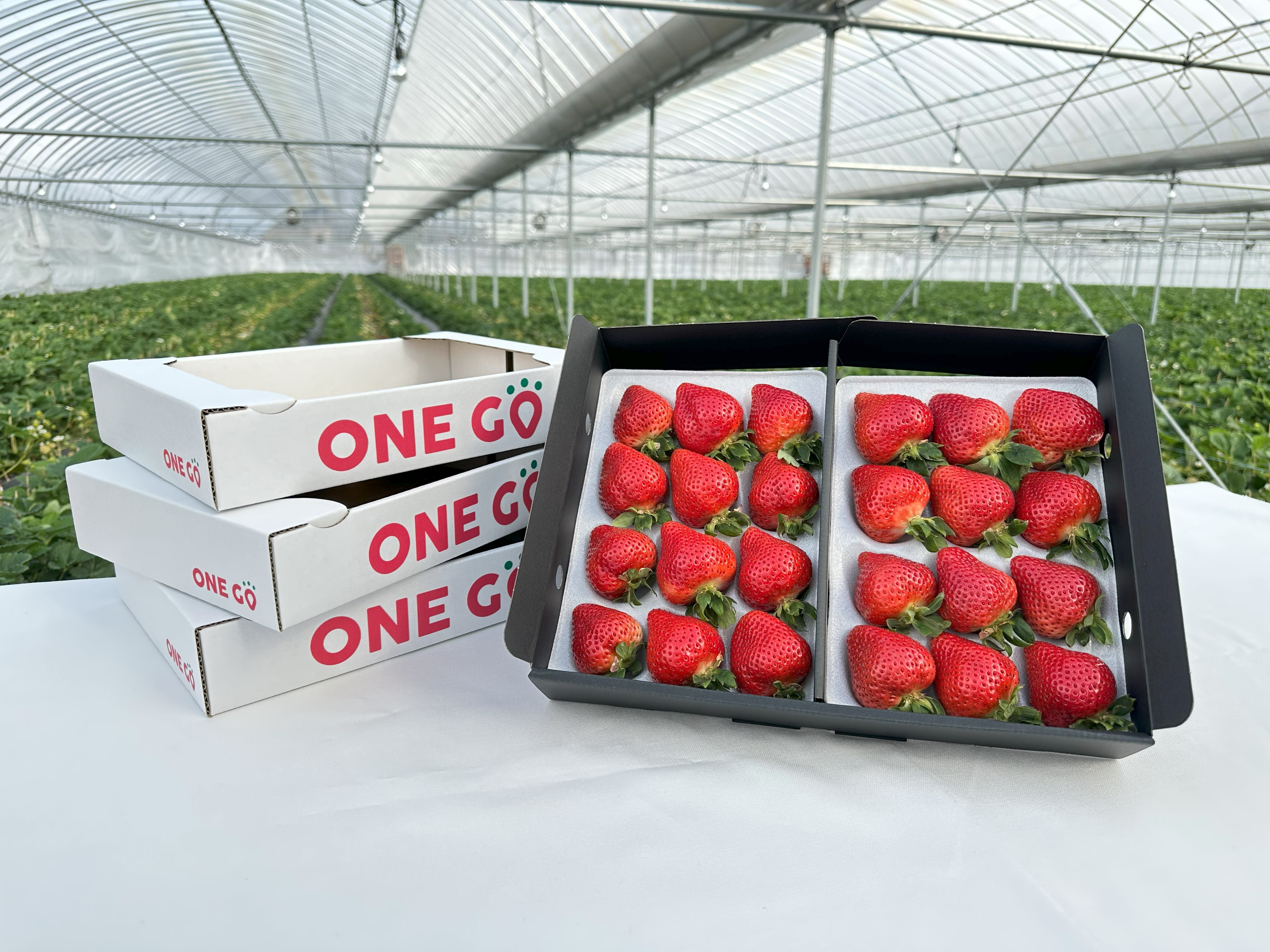 商品のあまおういちご