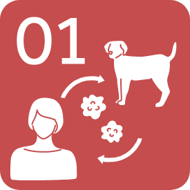 人獣共通感染症対策