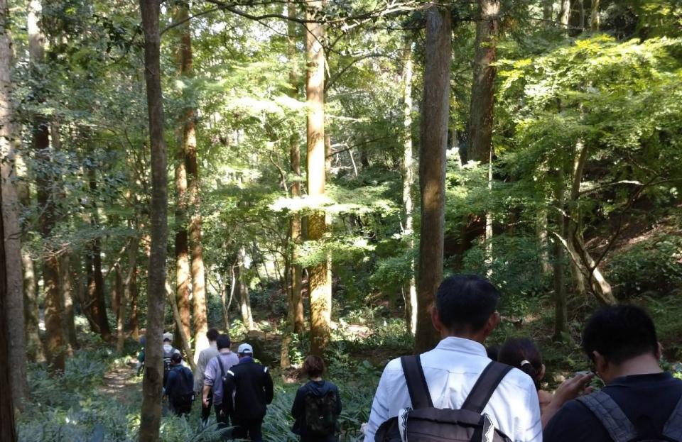 四王寺県民の森での森林浴体験